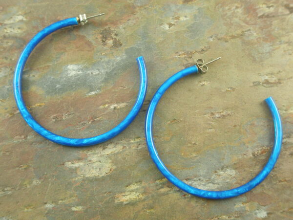 Blue Bird Resin Hoop Earrings-0