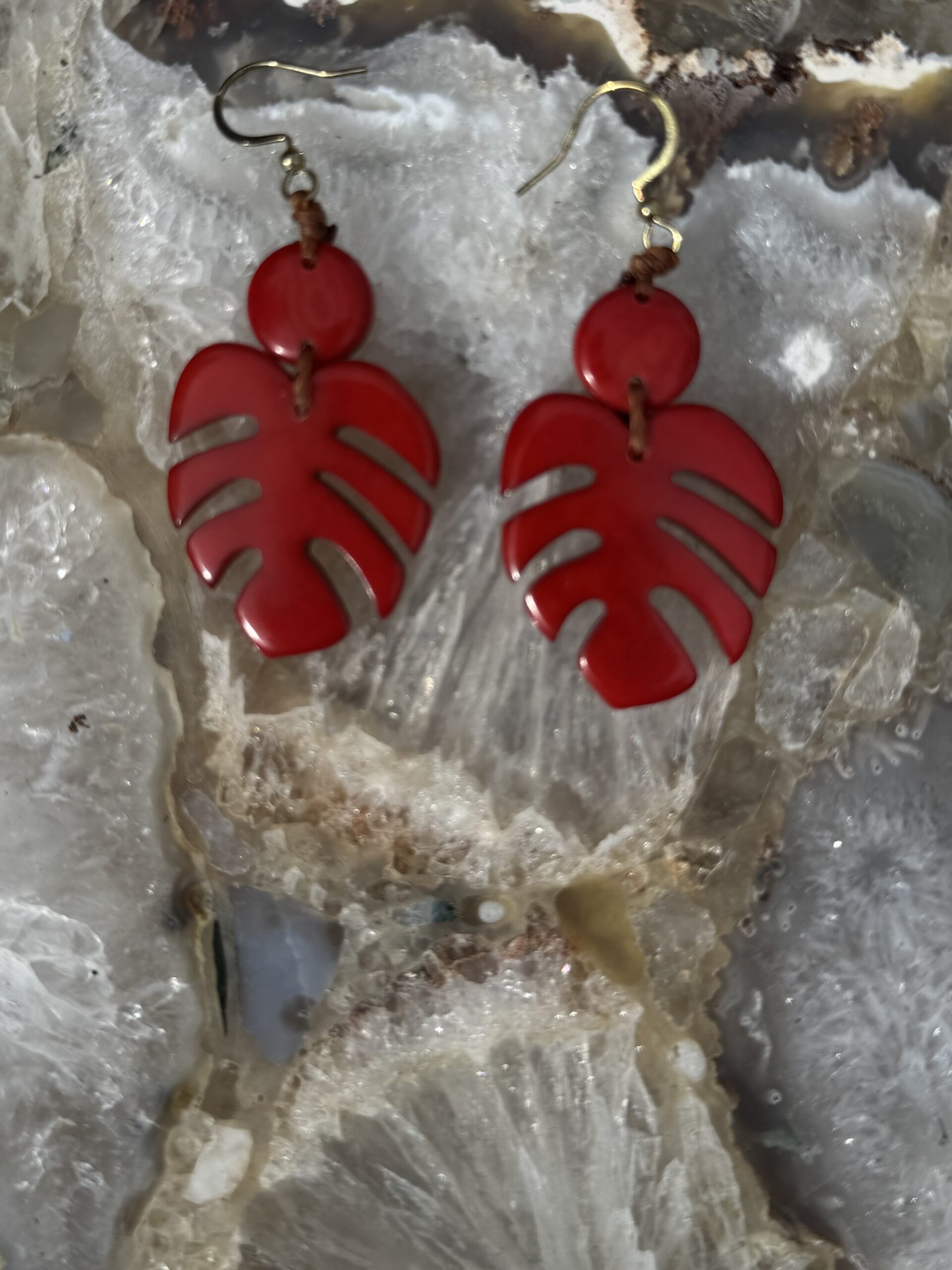 Taguna Nut Earrings/Red Oak